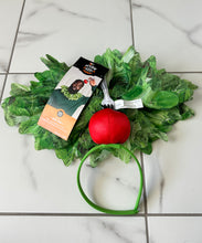 Load image into Gallery viewer, Hyde &amp; Eek Salad Dress Up One Size
