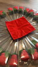 Load image into Gallery viewer, NEW Flower Washcloths (24) One Size
