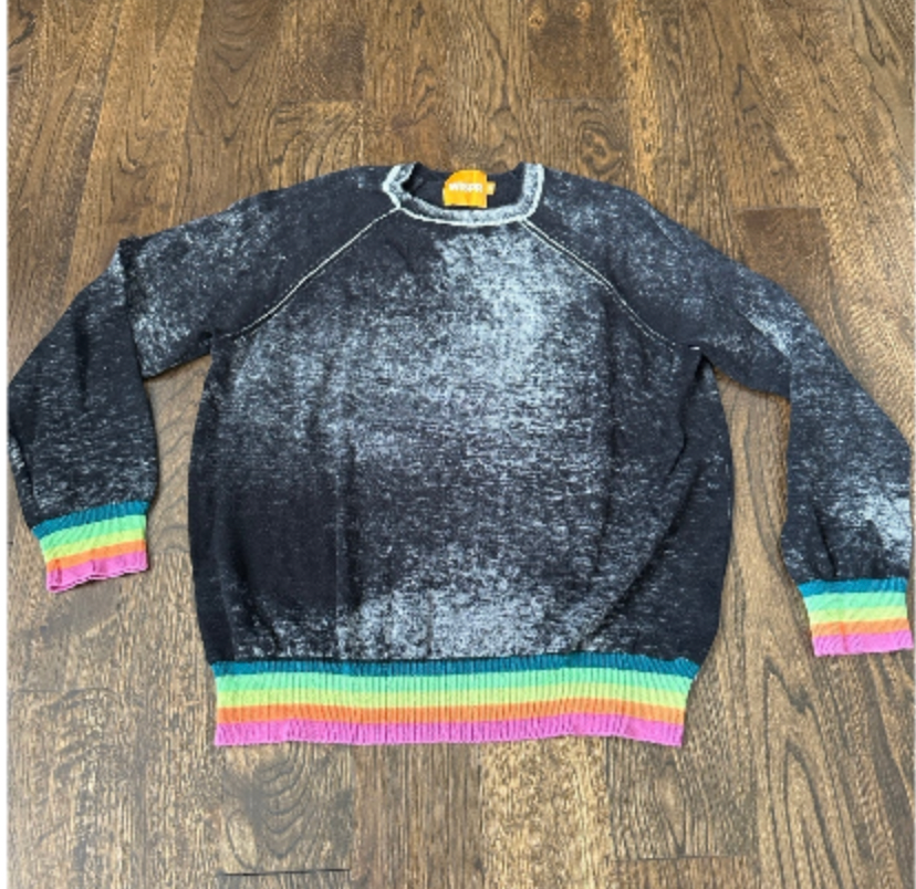 WISPR Sweater Adult XS