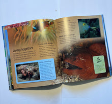 Load image into Gallery viewer, Children’s Ocean Life Encyclopedia
