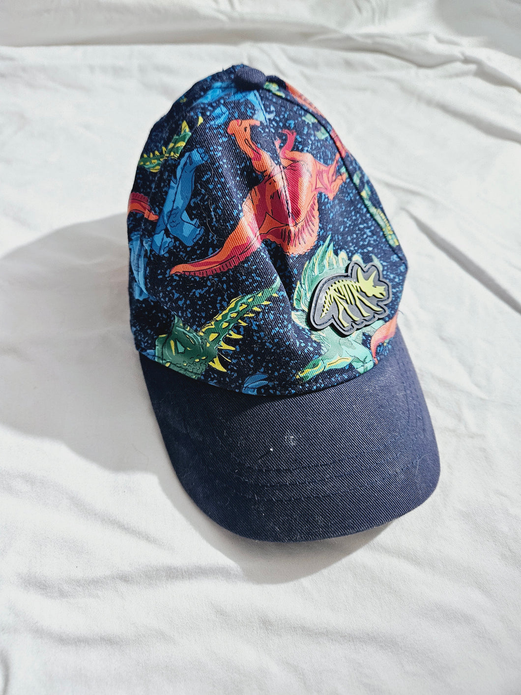 NASA and Dinosaur hat One Size