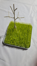 Load image into Gallery viewer, Boon drying grass and tree for bottles 2 piece set One Size
