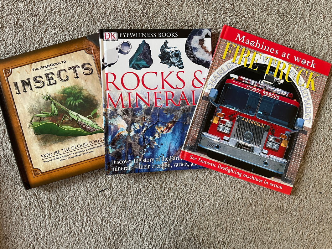 Science Book Selection Insects, Rocks & Minerals, Fire Truck