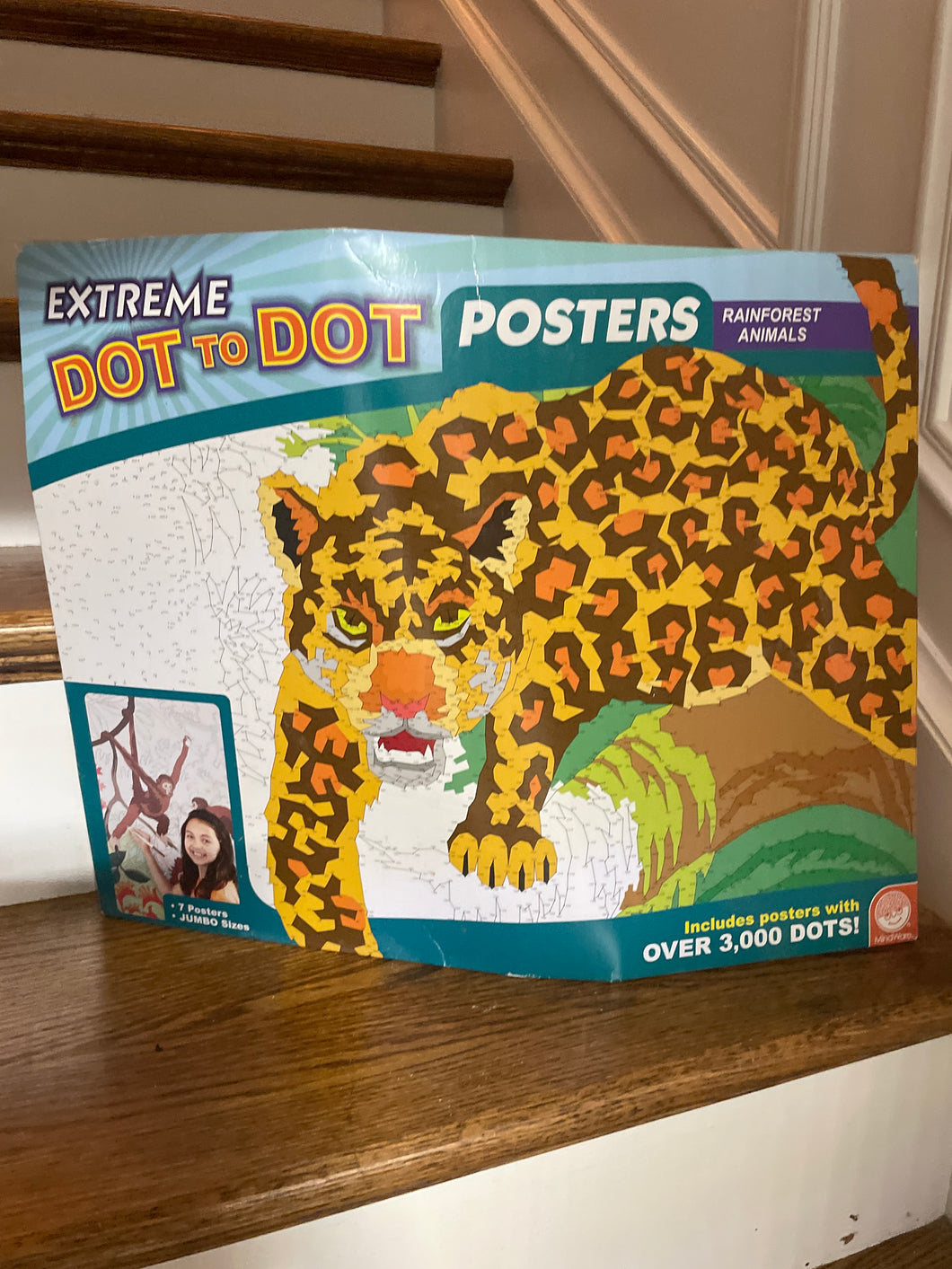 Extreme Dot to dot posters- rainforest animals-new