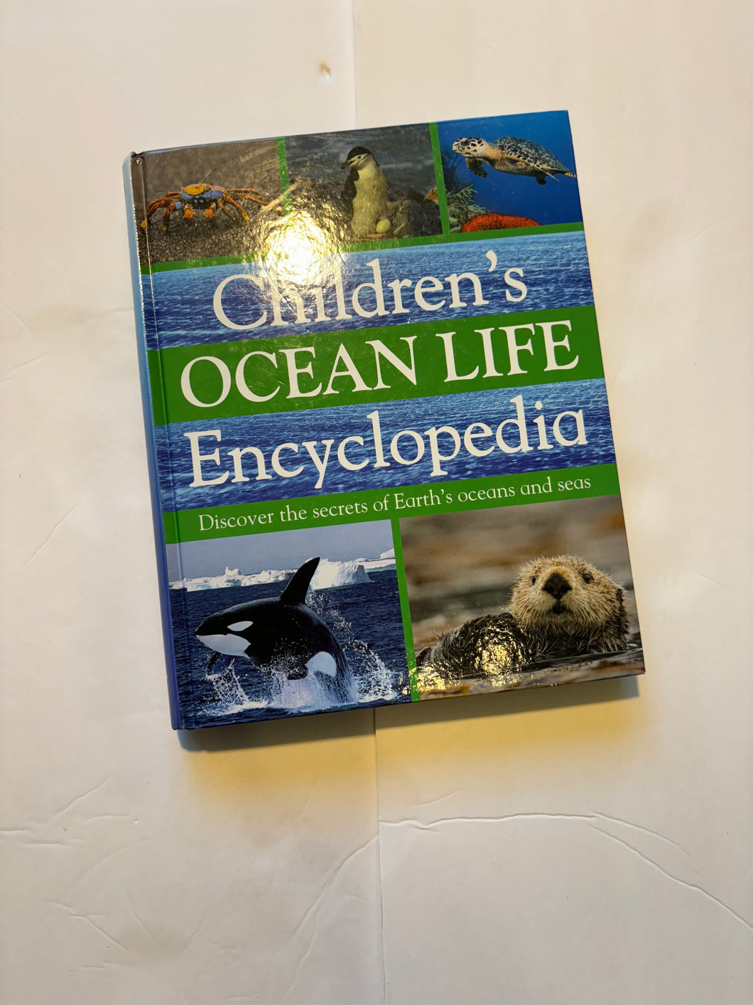 Children’s Ocean Life Encyclopedia