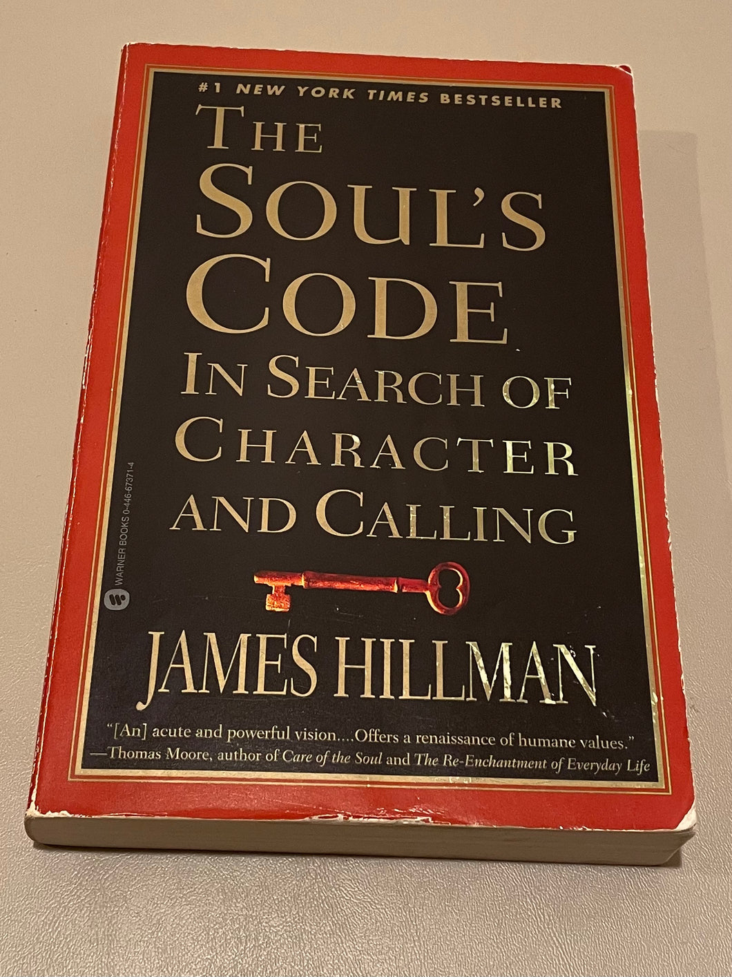 THE SOUL’S CODE