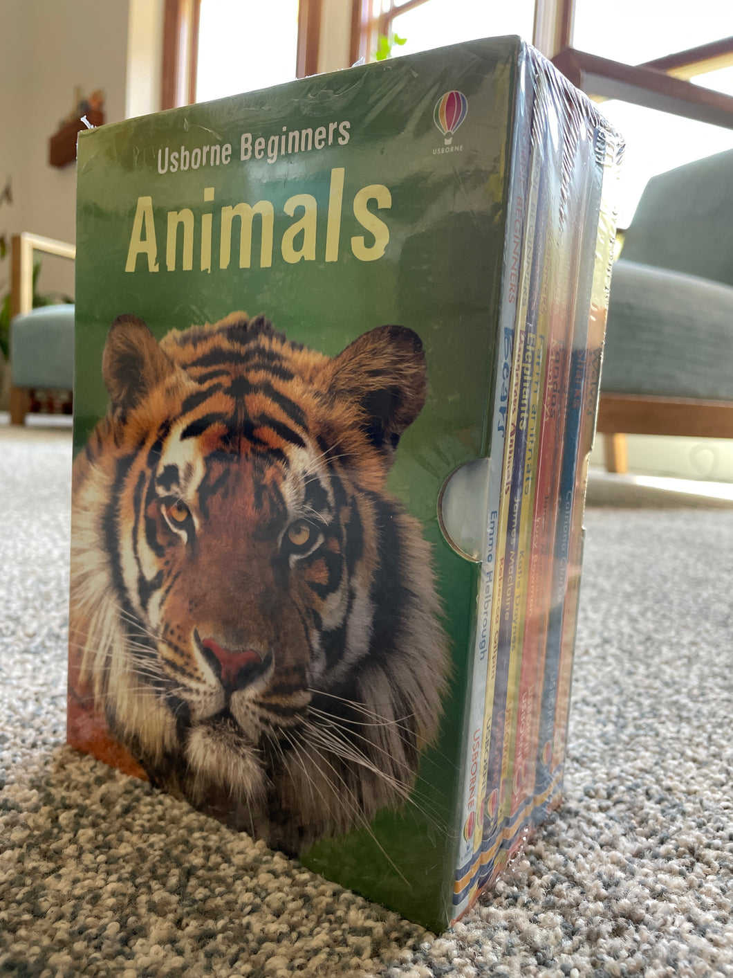 Usborne Beginners Animal Book Set-10 Books
